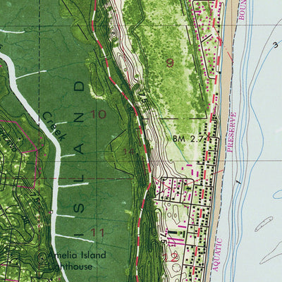 FL-GA-FERNANDINA BEACH: ORTHOPHOTOMAP 1981 Preview 2