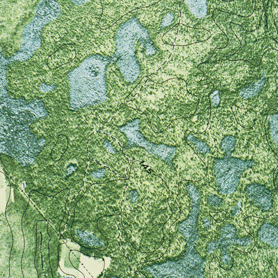 GA-STATENVILLE: ORTHOPHOTOMAP 1971 Preview 3