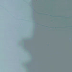 LA-TIGRE LAGOON: GeoChange 1962-2015 Preview 2