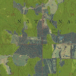 MS-HOMEWOOD: GeoChange 1966-2012 Preview 2