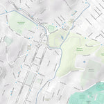 Dunedin Mountain Bike Trails Preview 3