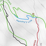 Queenstown Bike Park Mountain Bike Trails Preview 3