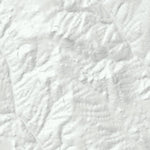 Buffalo Creek Mountain Bike Trails Preview 3