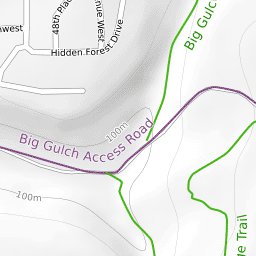 Mukilteo Mountain Bike Trails Preview 3