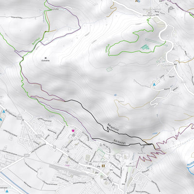 Meiringen Mountain Bike Trails Preview 3