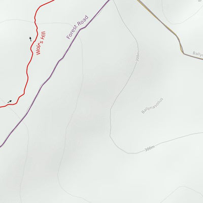 Cookstown Mountain Bike Trails Preview 3