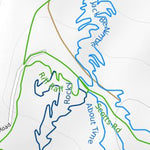 Arapuke Forest Mountain Bike Trails Preview 2