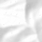 Carcross Mountain Bike Trails Preview 3