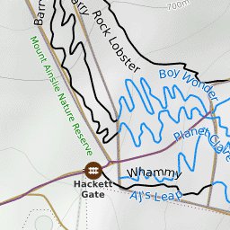 Majura Pines Mountain Bike Trails Preview 3