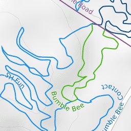 Wairakei Forest Mountain Bike Trails Preview 3