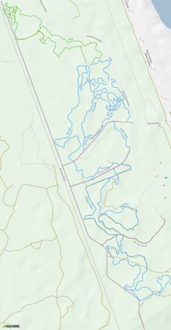 Hobe Sound Mountain Bike Trails Preview 1