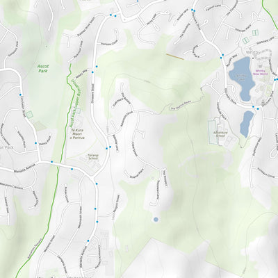 Porirua Mountain Bike Trails Preview 2