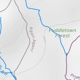 Dorchester Mountain Bike Trails Preview 2