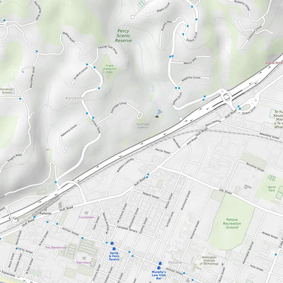 Lower Hutt Mountain Bike Trails Preview 3