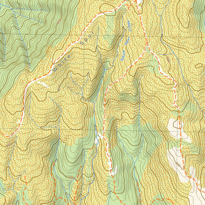 3636 DUNDAS Preview 3