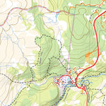 4039 PENCIL PINE Preview 2