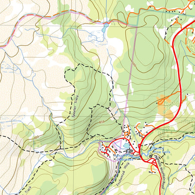 4039 PENCIL PINE Preview 2