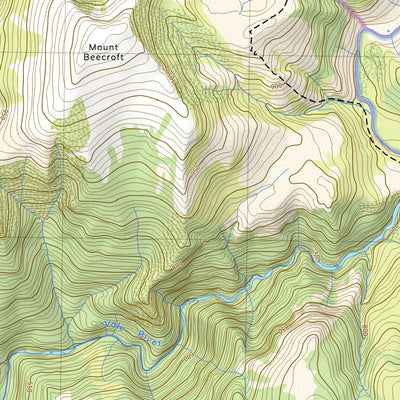 4039 PENCIL PINE Preview 3
