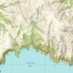 4217 TELOPEA Preview 3