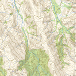 4219 MELALEUCA Preview 3