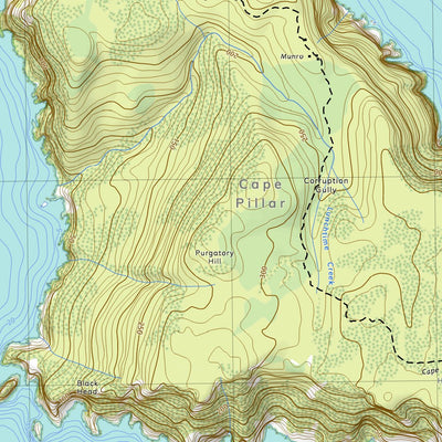 5721 TASMAN Preview 3