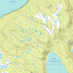 4435 OLIVE Preview 3