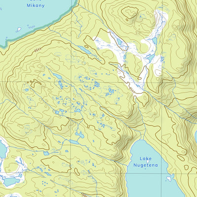 4435 OLIVE Preview 3