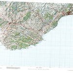 17 Dunedin Preview 1