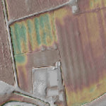 Hoogtemodel Rijnsoever Preview 2