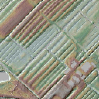 Hoogtemodel Rijnsoever Preview 3