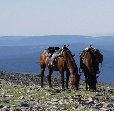 Helena - Lewis and Clark NF Jefferson Division East 2017 Preview 3