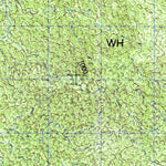 Rizo De Oro (D15B12) Preview 2