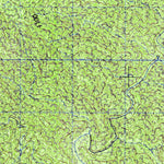 Rizo De Oro (D15B12) Preview 3