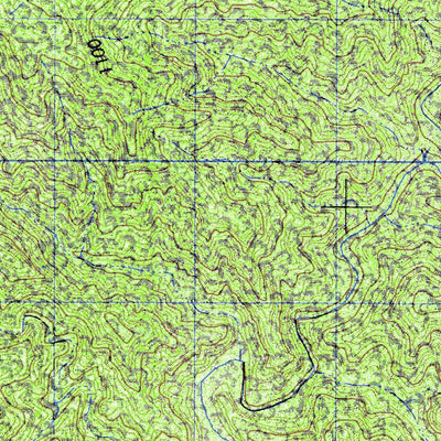 Rizo De Oro (D15B12) Preview 3