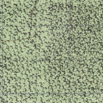 Petcacab (E16A36) Preview 3