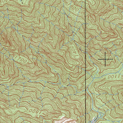 Pino Gordo (F13A28) Preview 3