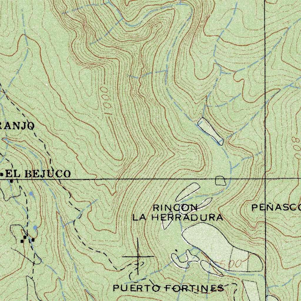Ocampo (F14A58) Map by Land Info Worldwide Mapping LLC | Avenza Maps
