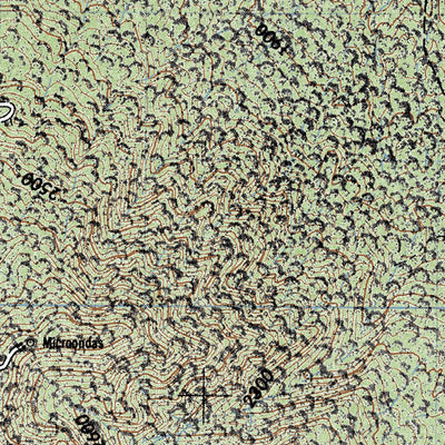 Tequila (F13D54) Preview 3