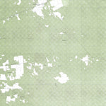 Leona Vicario (F16C59) Preview 1