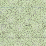 Leona Vicario (F16C59) Preview 3