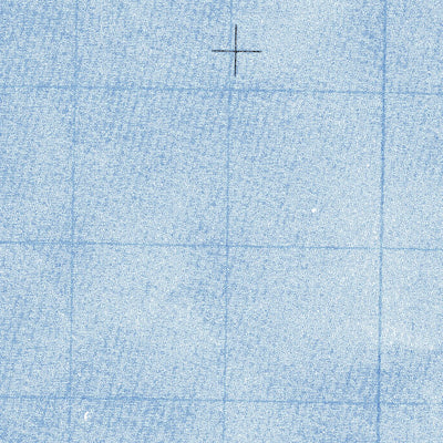 Malarrimo Punta De Eugenia (G11B17) Preview 3