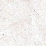El Morro (H11B65) Preview 1
