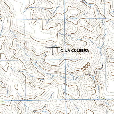 La Guajolota (H13C33) Preview 2