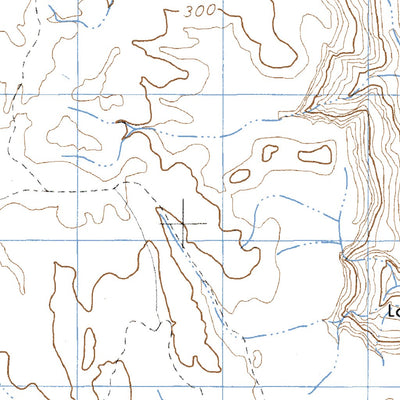 Primo Tapia (I11D81) Preview 2