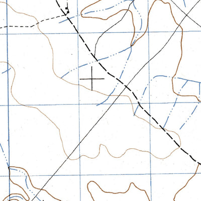 Palmira (H14C54) Preview 2