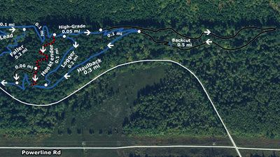 North Mountain Bike Skills Area Preview 3