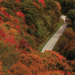 Southern Appalachia Back Side (Not Georeferenced) Preview 3