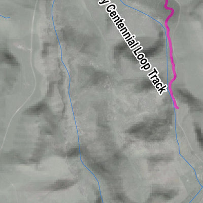 Motutapu Island tracks Preview 3