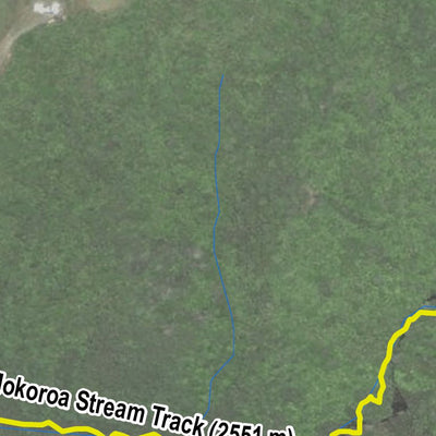 Falls lookout & Goldie Bush & Mokoroa Stream Track Preview 2