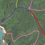 Tiritiri Matangi Island Preview 2